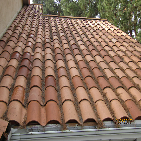 Roof & Rain Gutter Cleaning